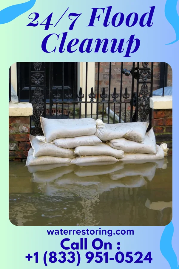 24/7 Flood Cleanup in Petal, MS