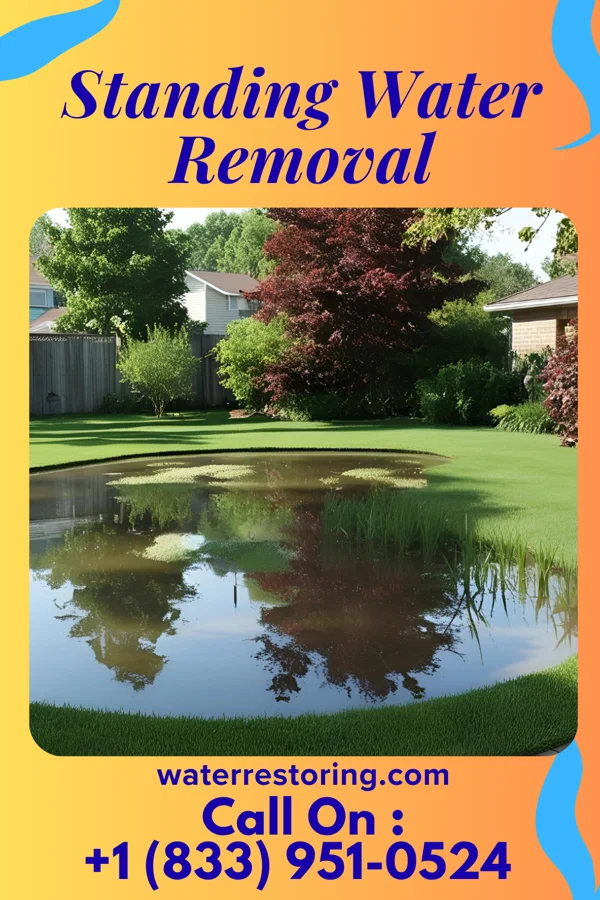 Standing Water Removal in Petal, MS